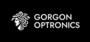 Gorgon Optronics, SIA darba piedāvājumi